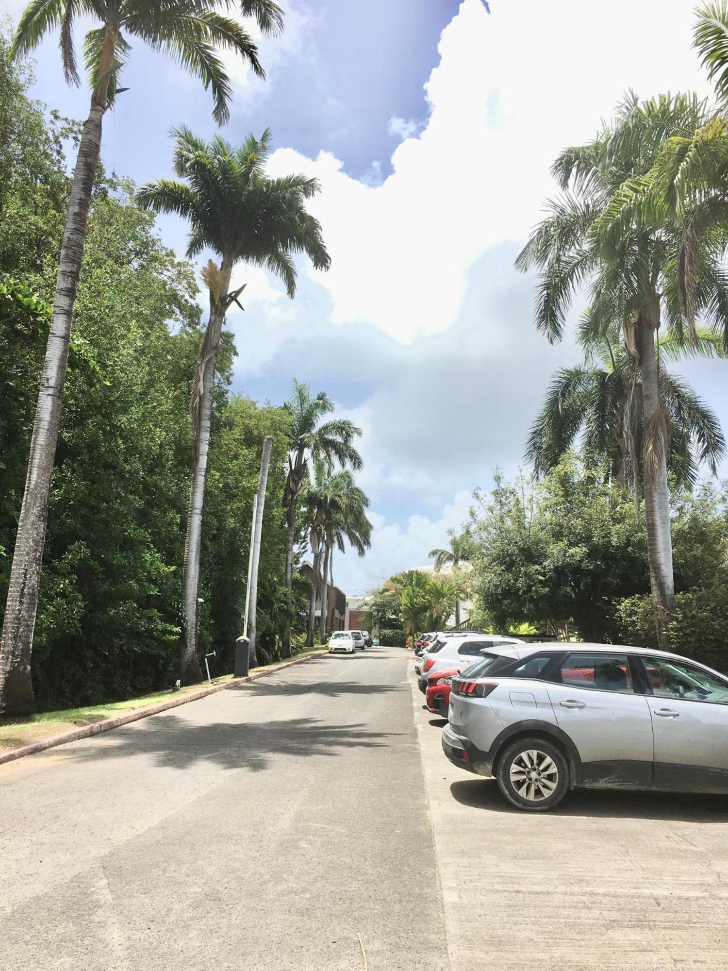 Appartement St Francois Manganao Guadeloupe Saint-Francois  Εξωτερικό φωτογραφία