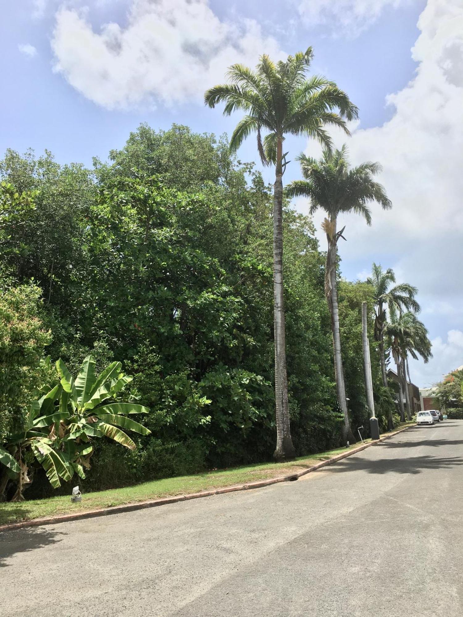 Appartement St Francois Manganao Guadeloupe Saint-Francois  Εξωτερικό φωτογραφία